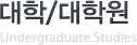 대학/대학원